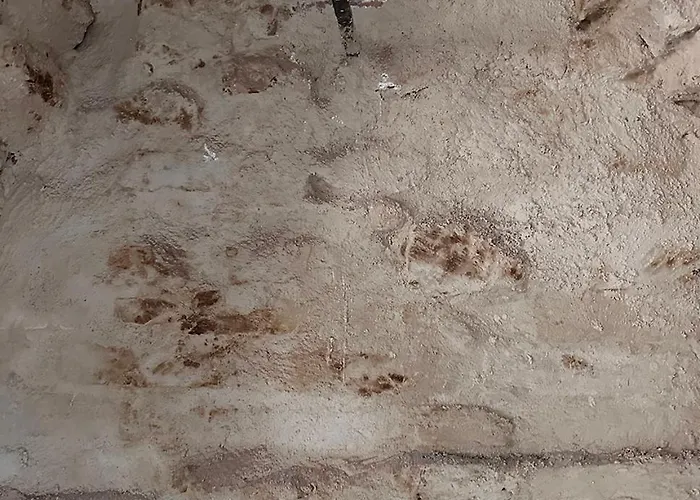 Inutile, Ma Non Troppo! * Castelnovo ne' Monti